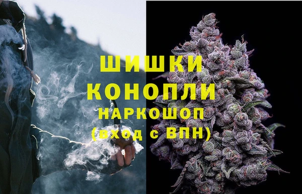 ECSTASY Инсар