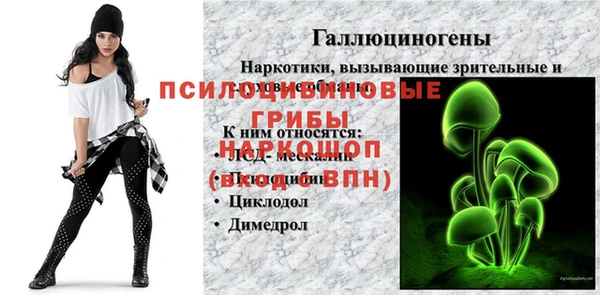 МДПВ Инта