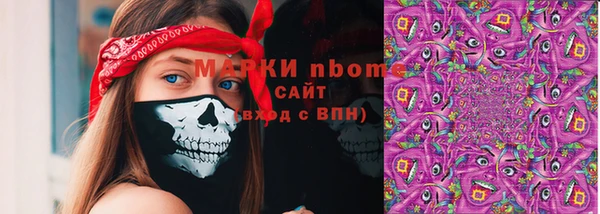 прущие грибы Орехово-Зуево