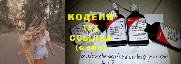 ECSTASY Инсар