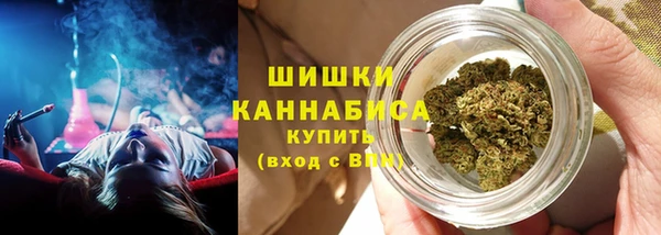 прущая мука Иннополис