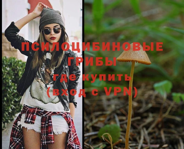 ECSTASY Инсар