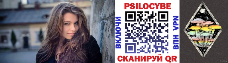 Купить  Добрянка  Псилоцибиновые грибы GOLDEN TEACHER 
